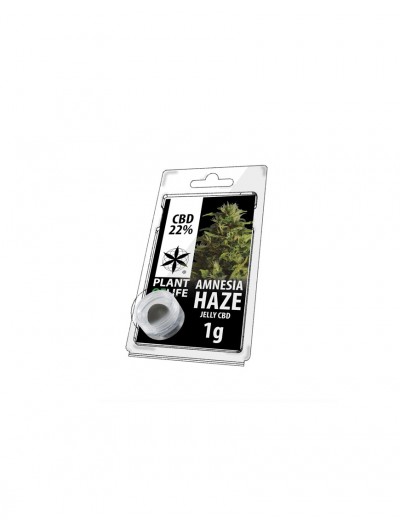 Plant of Life Jelly Amnesia Haze 22% CBD 1gr